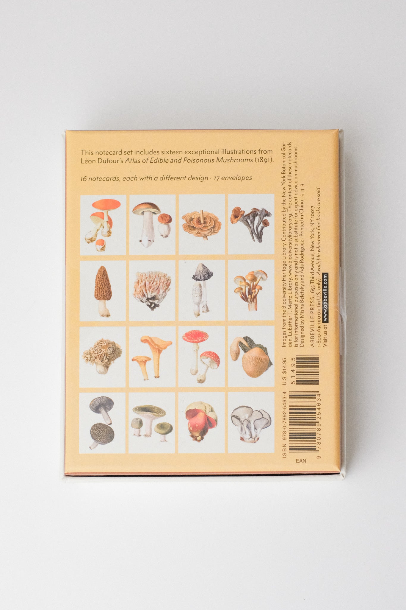 Mushrooms Notecards