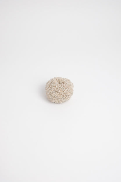 Round Poly Scrubber